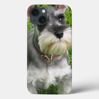 Schnauzer Dog iPhone 13 Hülle