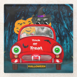 Schnauzer Dog Driving Car Beängstigend Halloween Glasuntersetzer