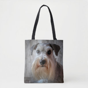 Schnauzer Dog Face
