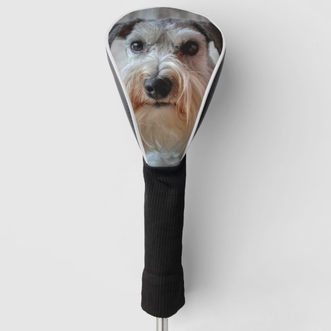 Schnauzer-Dog-Gesicht Golf Headcover (Vorderseite)