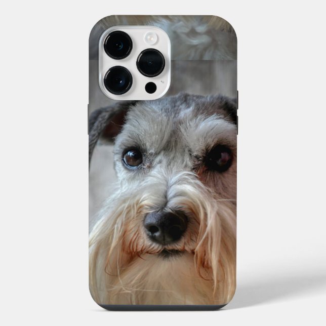 Schnauzer-Dog-Gesicht iPhone Hülle (Rückseite)
