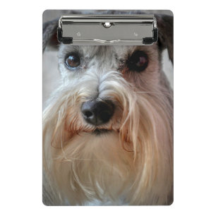 Schnauzer-Dog-Gesicht Mini Klemmbrett