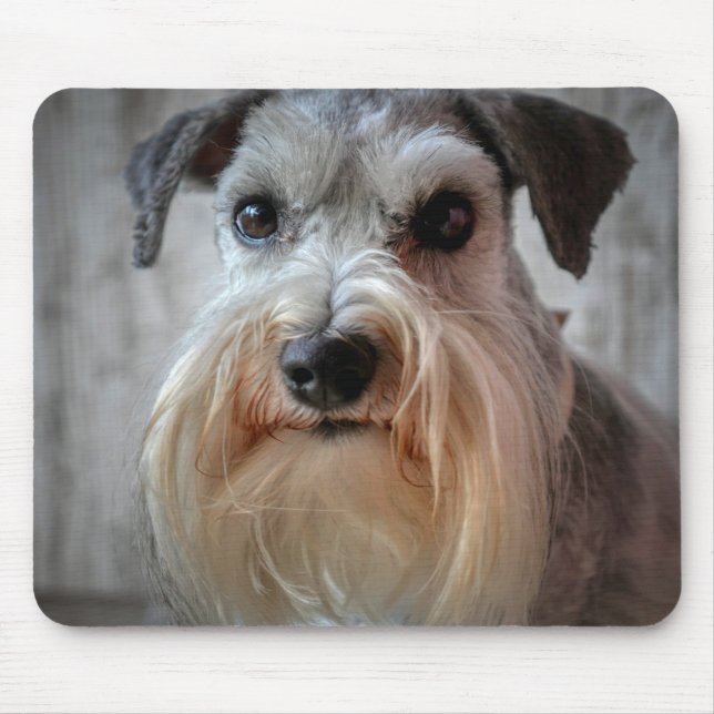Schnauzer-Dog-Gesicht Mousepad (Vorne)