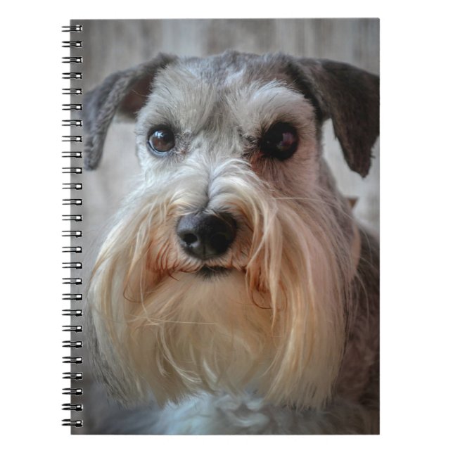 Schnauzer-Dog-Gesicht Notizblock (Vorderseite)