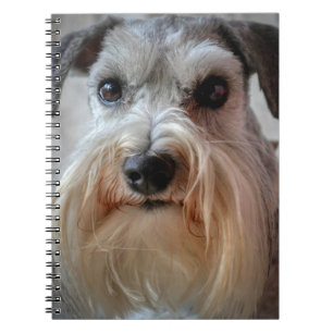 Schnauzer-Dog-Gesicht Notizblock
