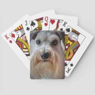 Schnauzer-Dog-Gesicht Spielkarten