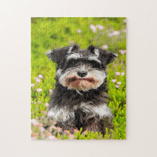 Schnauzer Dog Jigsaws. Puzzle