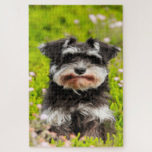Schnauzer Dog Jigsaws. Puzzle