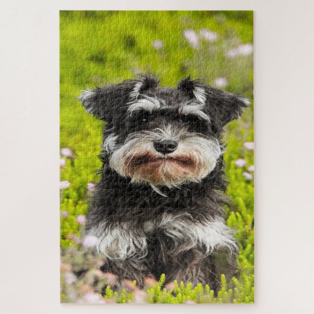 Schnauzer Dog Jigsaws. Puzzle (Vertikal)