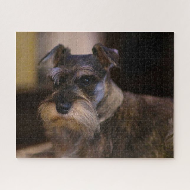 Schnauzer Dog Jigsaws. Puzzle (Horizontal)