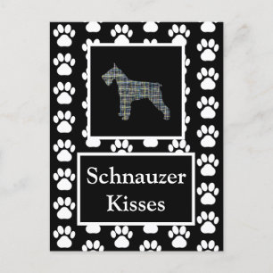 Schnauzer Dog Kisses Silhouette Yellow & Blue Grid Postkarte