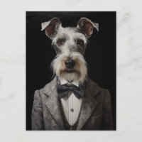 Schnauzer Dog Portrait Grau Anzug Bow Krawatte