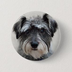 Schnauzer Dog Round Button