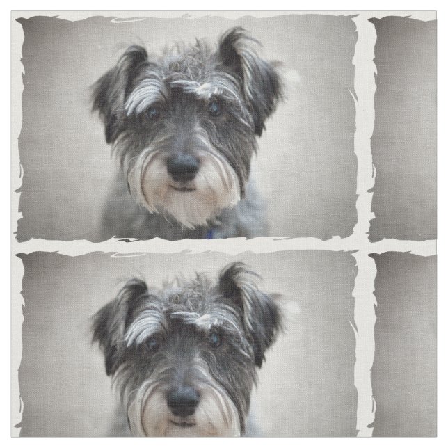 Schnauzer Dog Stoff (Nahaufnahme)