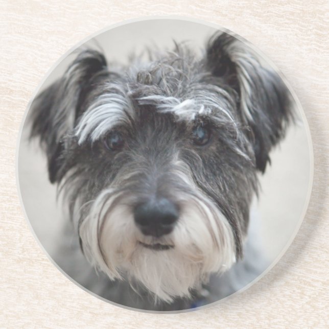 Schnauzer Dog Untersetzer (Vorne)