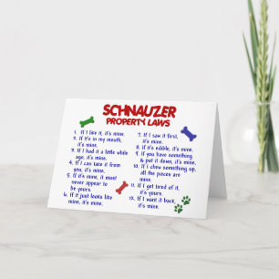 SCHNAUZER Eigentums-Gesetze 2 Karte