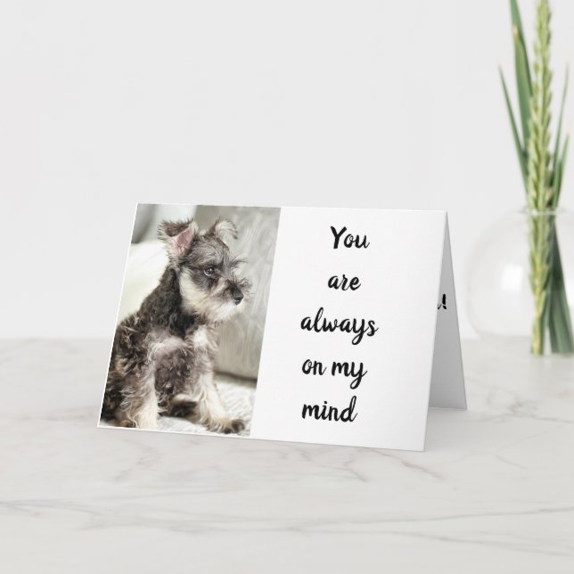 SCHNAUZER * ERKLÄRT LIEBE** ZU "VALENTINE WISH" KARTE (Vorderseite)