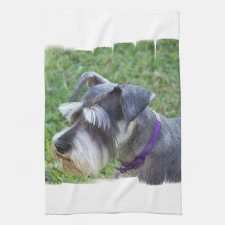 Schnauzer-Geschirrtuch Küchentuch