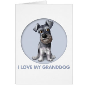 Schnauzer Granddog