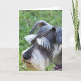 Schnauzer Grußkarte Karte
