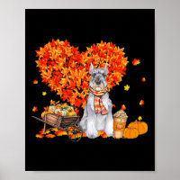Schnauzer Herbstbaum Herbstlaub Pumpkin Hund Liebe