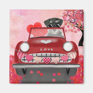Schnauzer-Hund Auto mit Herzen Valentinstag  Magnet