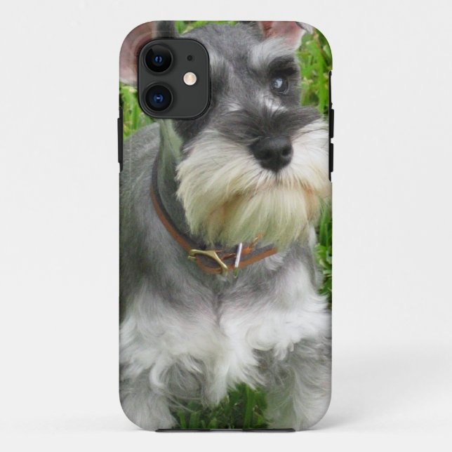 Schnauzer-Hund Case-Mate iPhone Hülle (Rückseite)