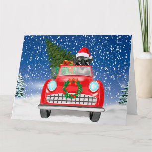 Schnauzer-Hund fährt Auto im Schnee Weihnachten Karte