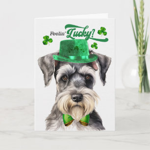 Schnauzer-Hund fühlt sich am St. Patrick's Day glü Feiertagskarte