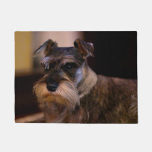 Schnauzer Hund Fußmatte