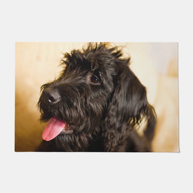 Schnauzer Hund. Fußmatte (Vorderseite)