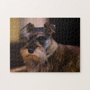 Schnauzer Hund Jigsaws. Puzzle