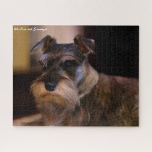 Schnauzer-Hund-Puzzles. Puzzle