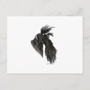 Schnauzer-Hund, tony fernandes Postkarte