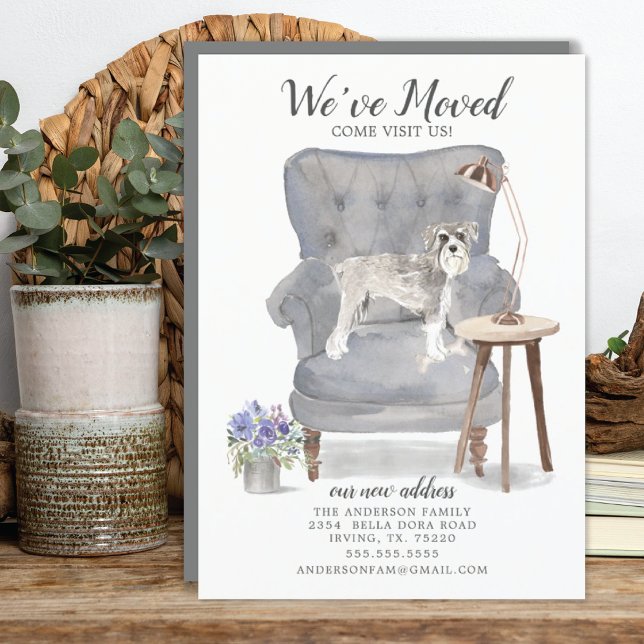 Schnauzer Hund wir haben uns bewegt bewegende Ankü Ankündigung (Von Creator hochgeladen)