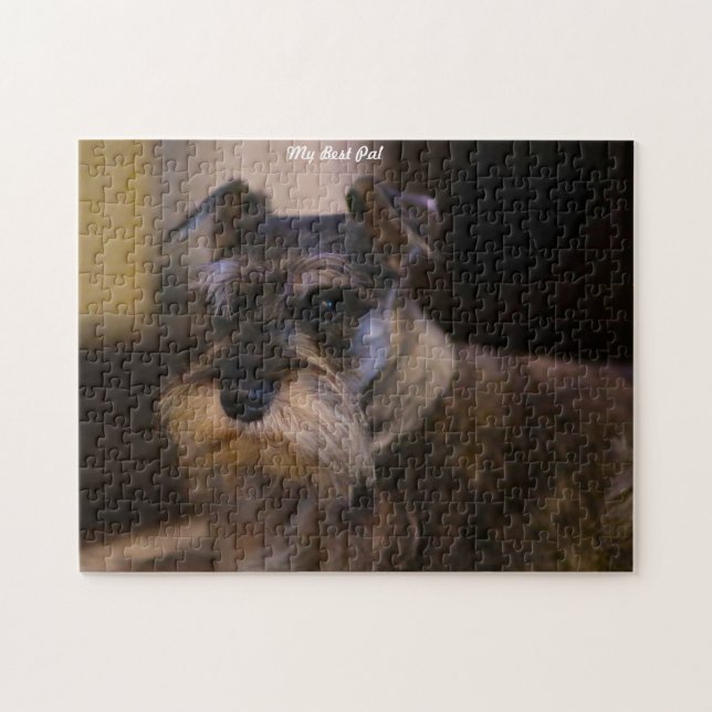 Schnauzer-Hunde-Puzzles. Puzzle (Horizontal)
