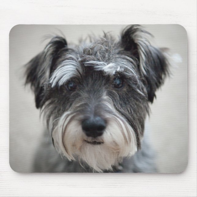 Schnauzer-Hundemausunterlage Mousepad (Vorne)