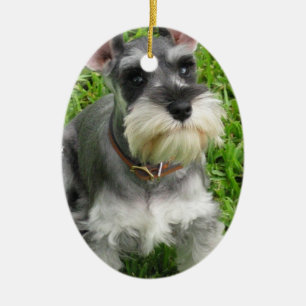 Schnauzer-Hundeverzierung Keramikornament