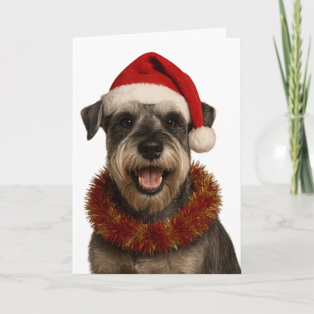 Schnauzer in a Santa hat Christmas card Karte (Vorderseite)