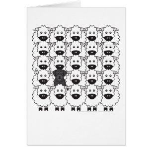 Schnauzer in den Schafen