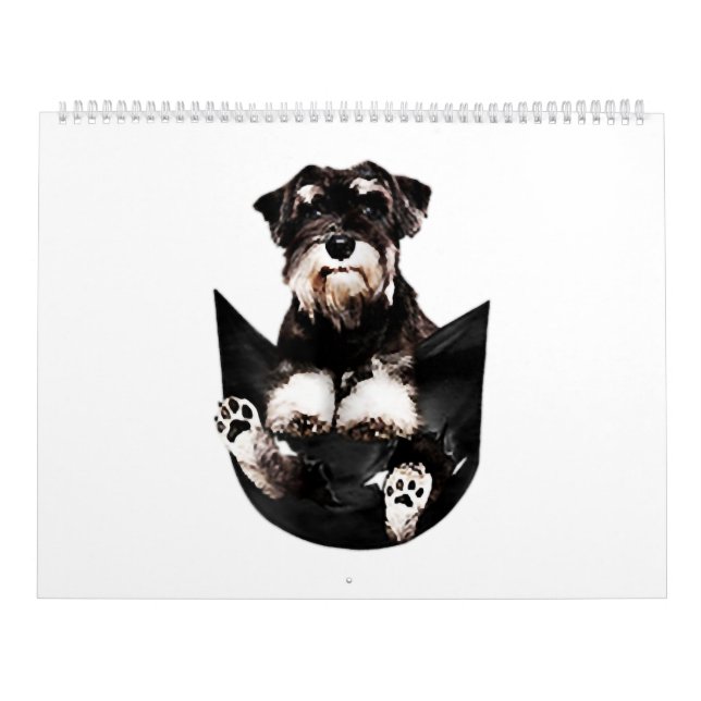 Schnauzer in meinem Pocket Niedlich Hund Liebhaber Kalender (Titelbild)
