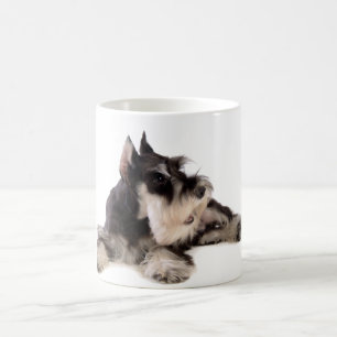 SCHNAUZER KAFFEETASSE