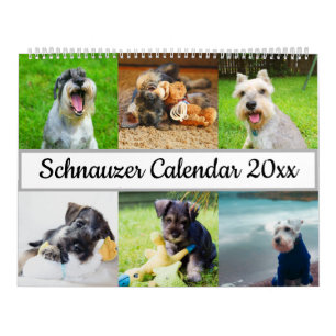 Schnauzer Kalender
