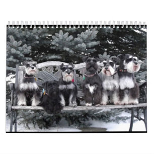 Schnauzer-Kalender 2018 Kalender