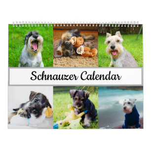 Schnauzer-Kalender 2022 Kalender