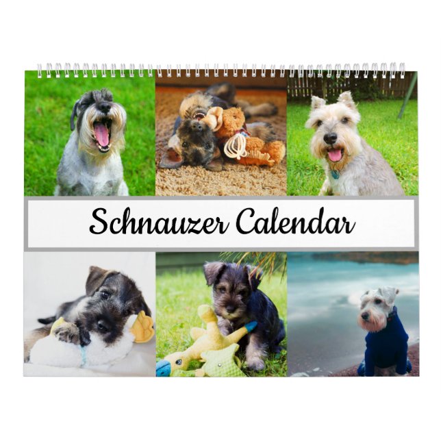 Schnauzer-Kalender Kalender (Titelbild)