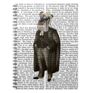 Schnauzer Lawyer Notizblock