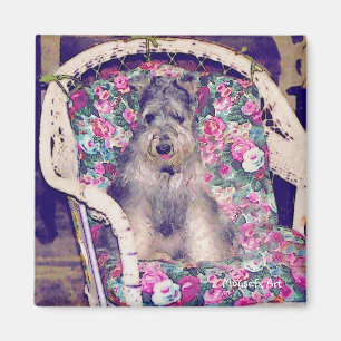 Schnauzer Magnet