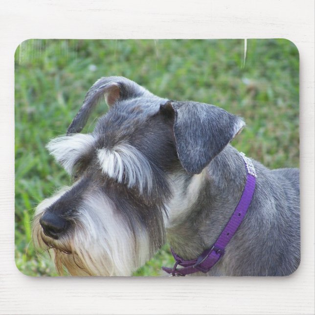 Schnauzer-Mausunterlage Mousepad (Vorne)