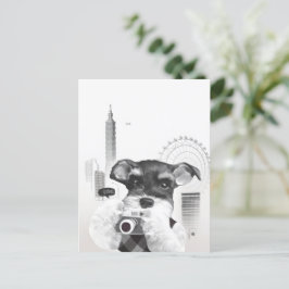 Schnauzer mit Kamera Ankündigungspostkarte